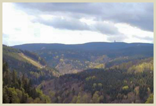Blick vom Wilden Geratal zum Schneekopf (978m)