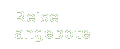 Reiseangebote