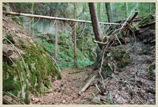 Alter Mhlsteinbruch im Thringer Wald 